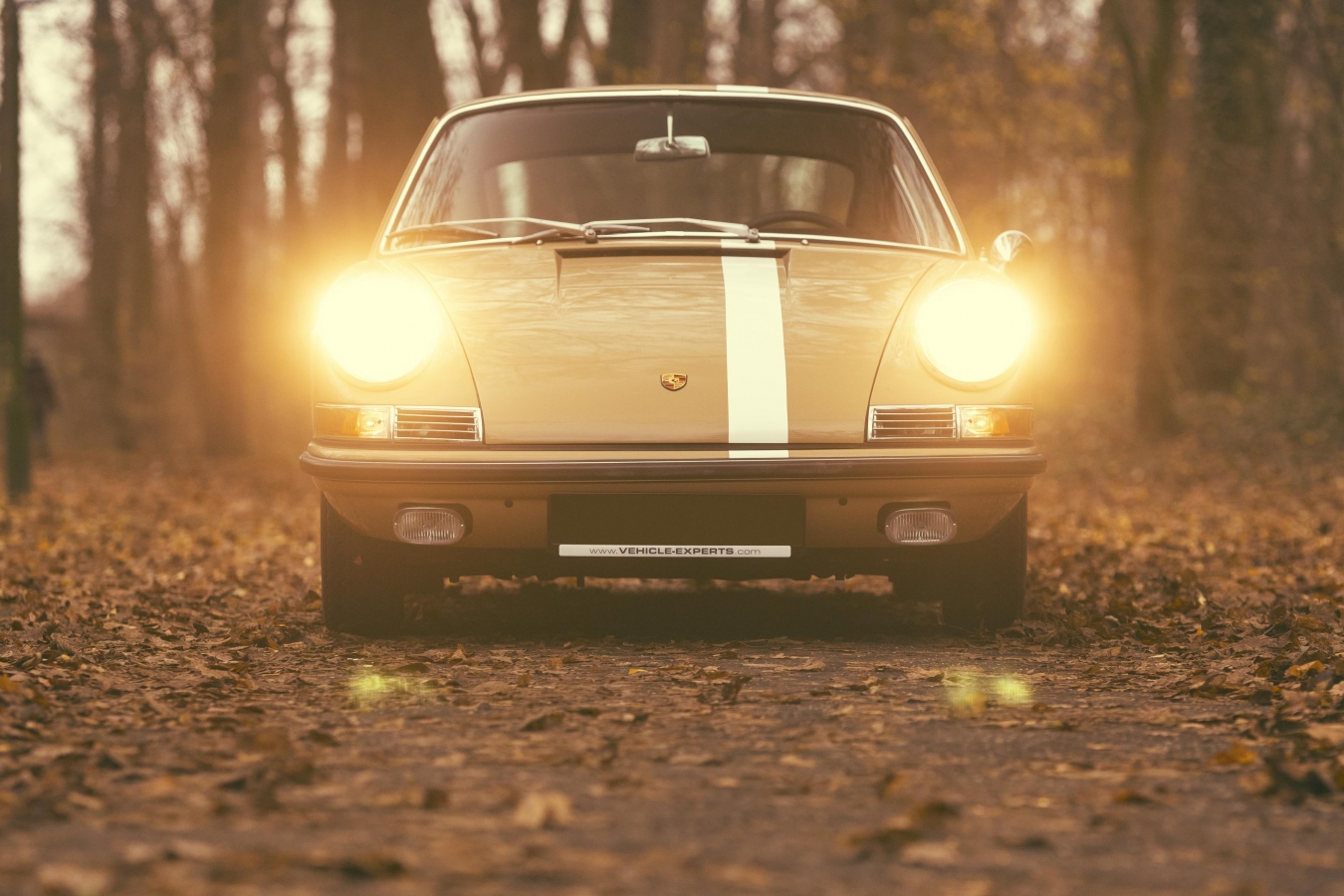 Porsche 911S aus 1967 zu Verkaufen